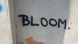 5 Things Curiosity is not Despite Schooling